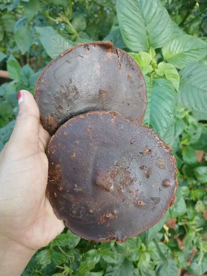 Gula Aren Asli
